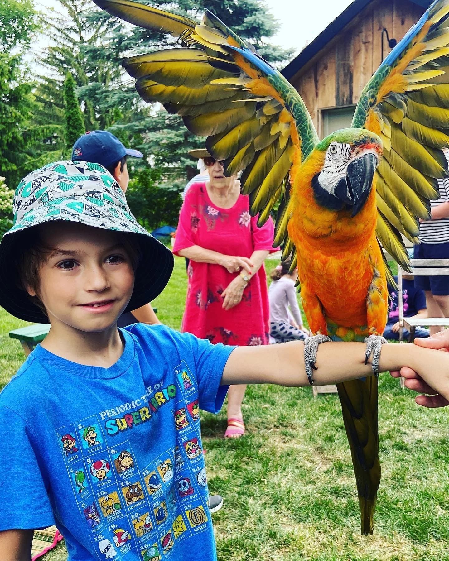 Young birthday guest holding a brilliant green and gold macaw with its wings spread on his arm