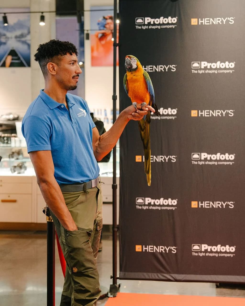Hands On Exotics handler in branded polo holding a colorful blue and gold macaw at a corporate brand activation