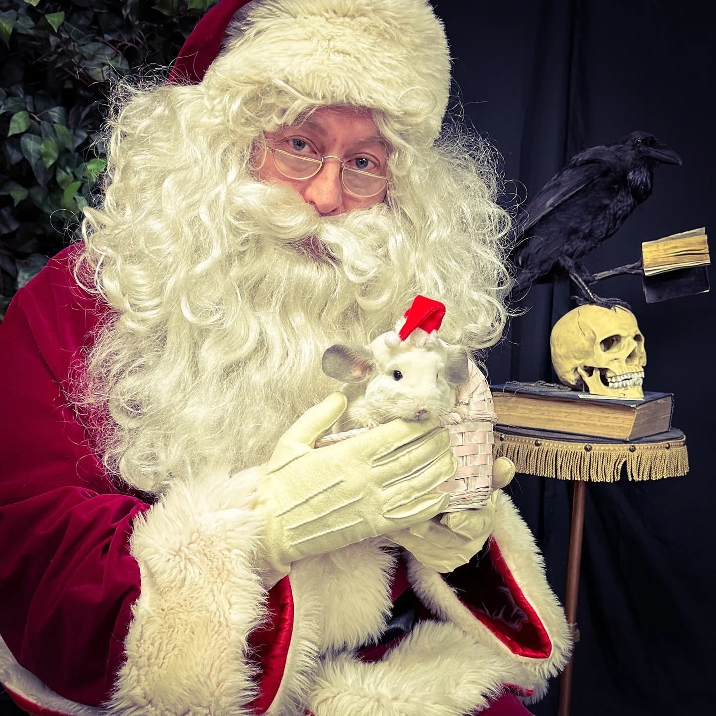 Stylized holiday photoshoot featuring Santa Claus holding a white chinchilla beside a raven and skull