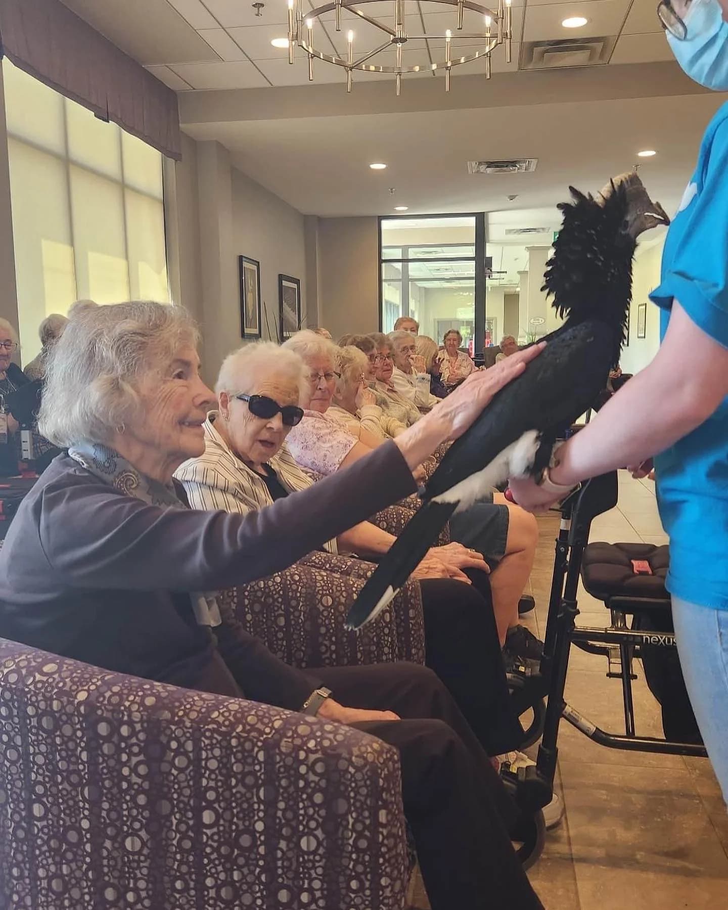 A row of seated retirement-community residents looks on as a Hands On Exotics handler holds out a long-tailed hornbill for the front-row resident to touch