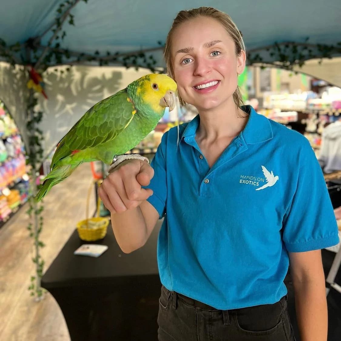 Hands On Exotics handler in branded blue polo with a green Amazon parrot perched at a tented festival booth