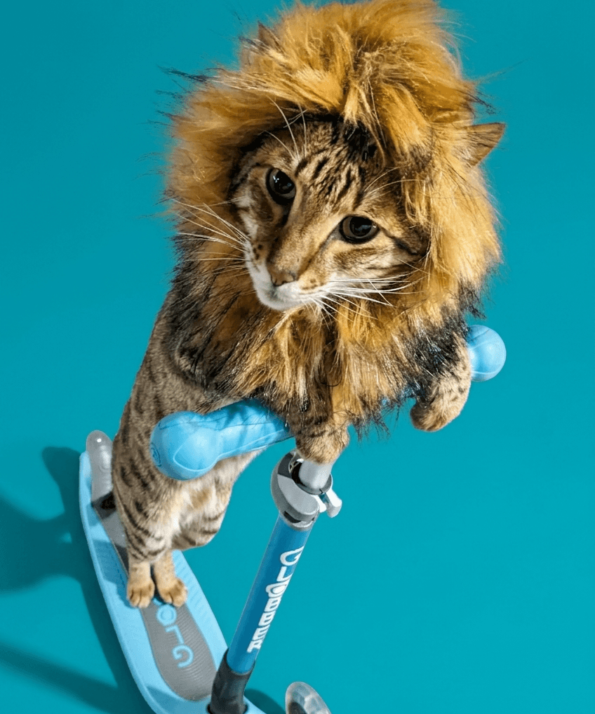 King Tut