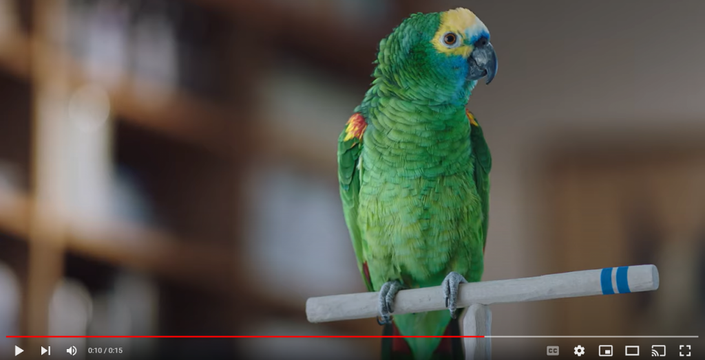 Gypsy Singing Bird Bell Canada Commercial