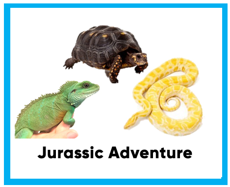 Jurassic Adventure card with iguana, tortoise and snake