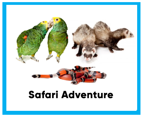 Safari Adventure Image with birds, ferrets and snake